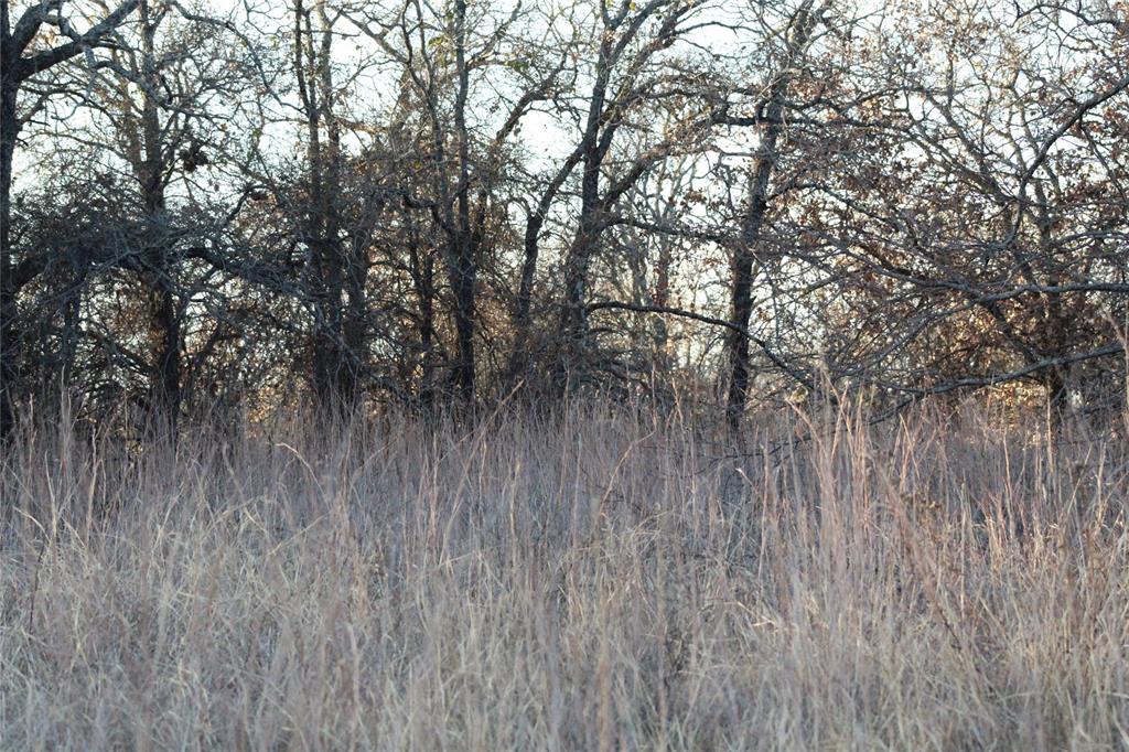 TBD E FM 2210 Highway