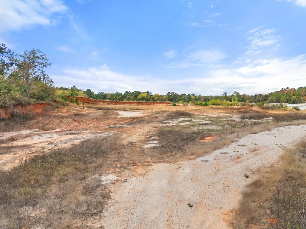 15374 & 15412 State Highway 110 S