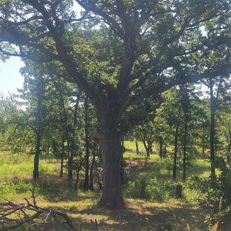 Vista Oaks Estates Add - Land