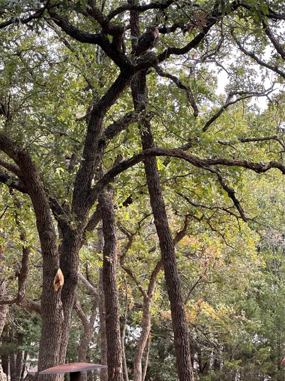 Lakeside Country Club - Residential