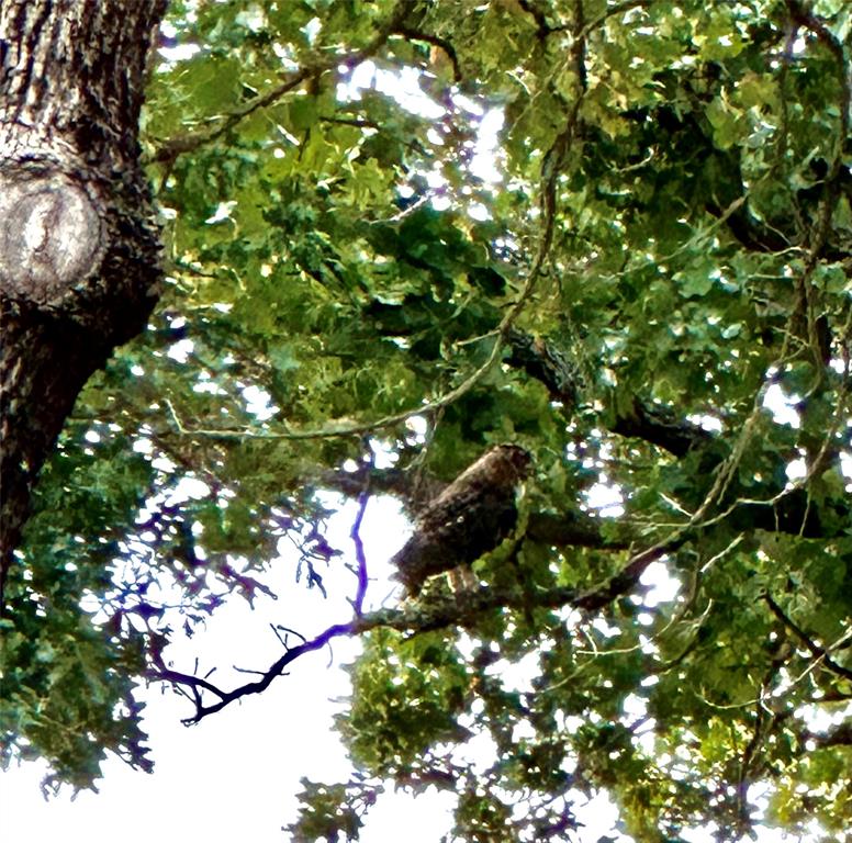 Lakeside Country Club - Residential