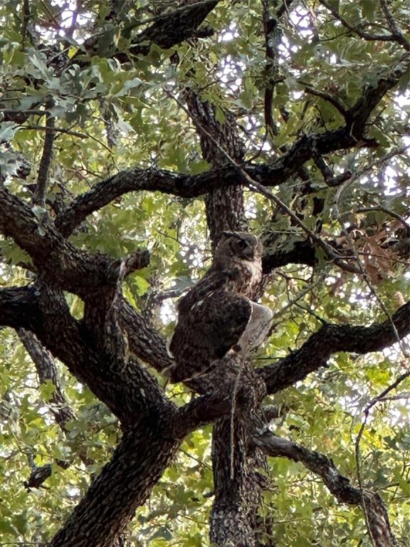 Lakeside Country Club - Residential