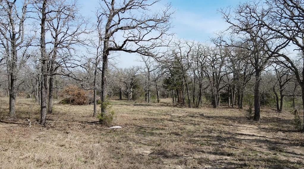 3292 Highway 31