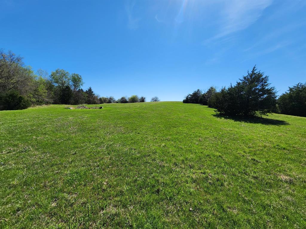 Elija B Reed Surv A-739 - Land