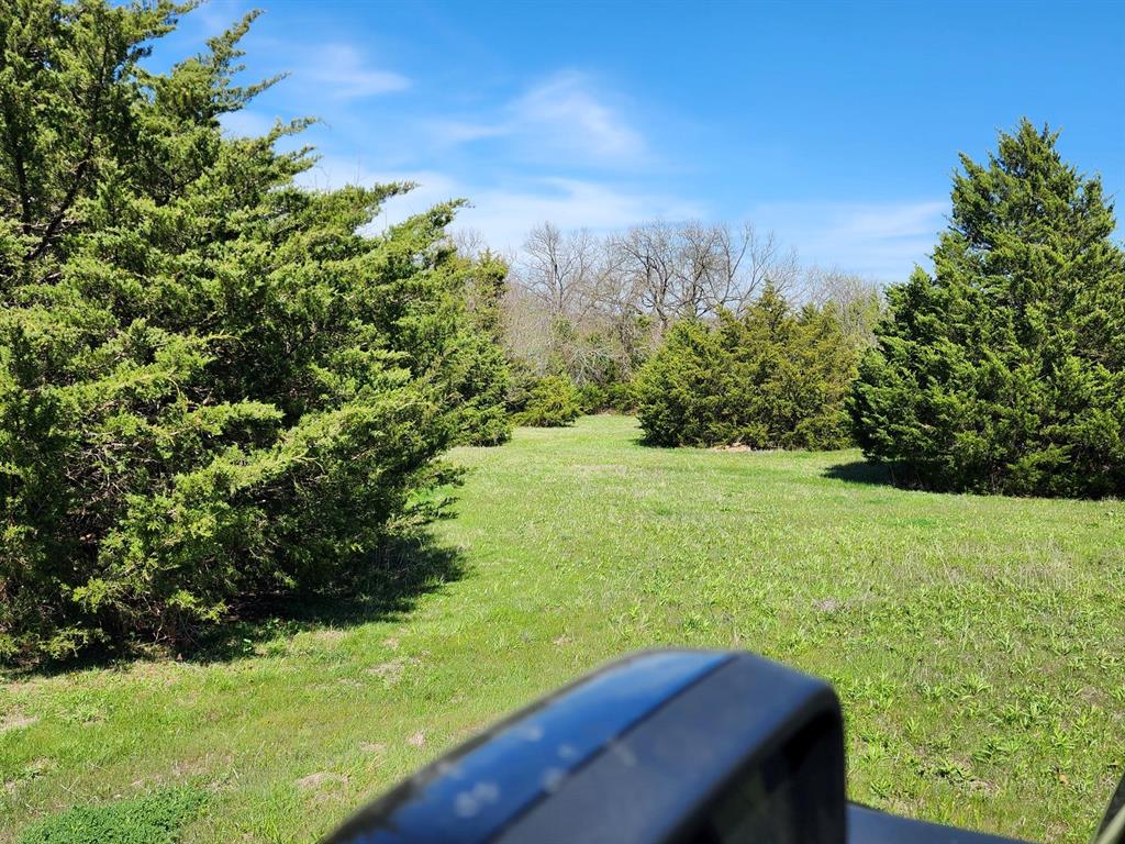 Elija B Reed Surv A-739 - Land