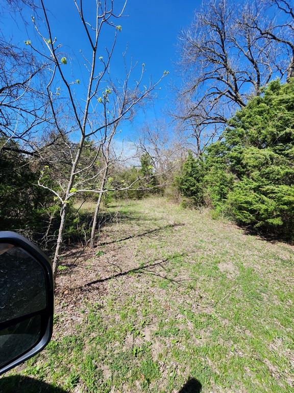 Elija B Reed Surv A-739 - Land