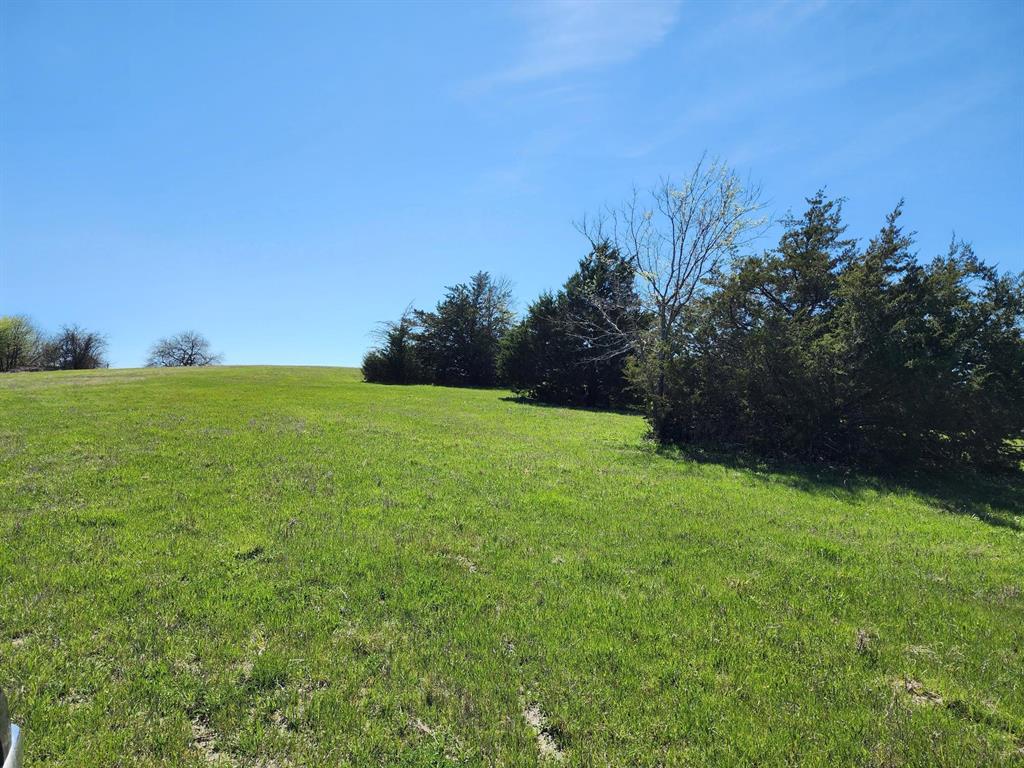 Elija B Reed Surv A-739 - Land