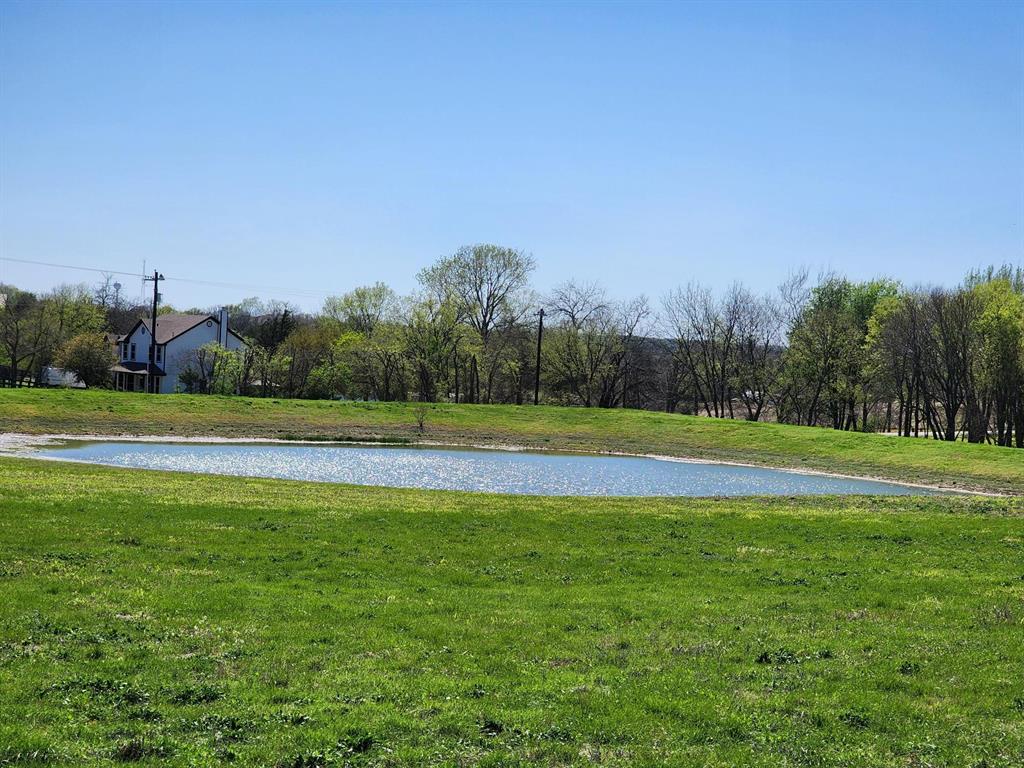 Elija B Reed Surv A-739 - Land