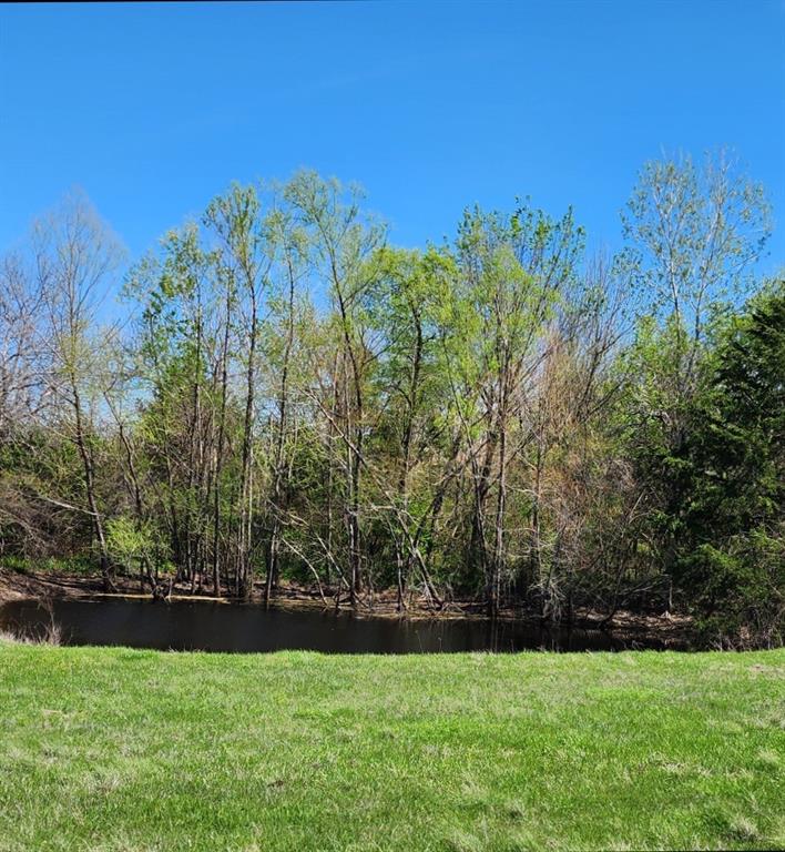 Elija B Reed Surv A-739 - Land