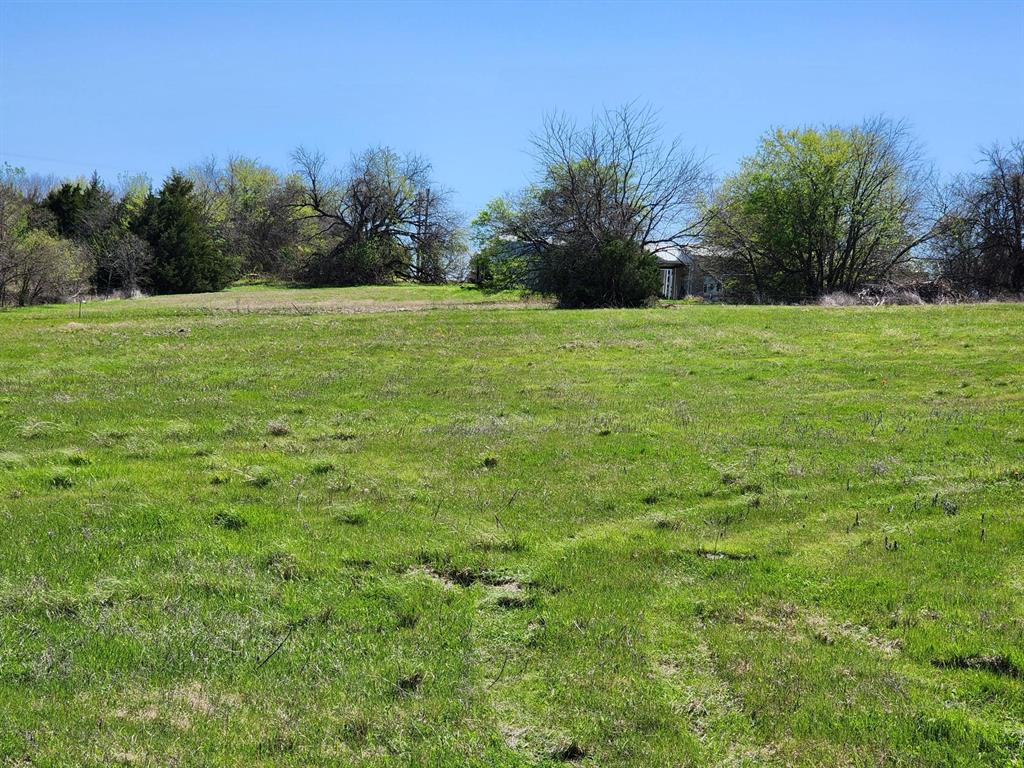 Elija B Reed Surv A-739 - Land