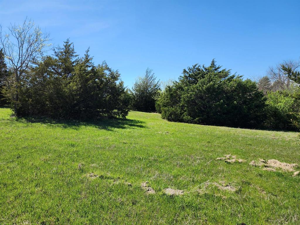 Elija B Reed Surv A-739 - Land