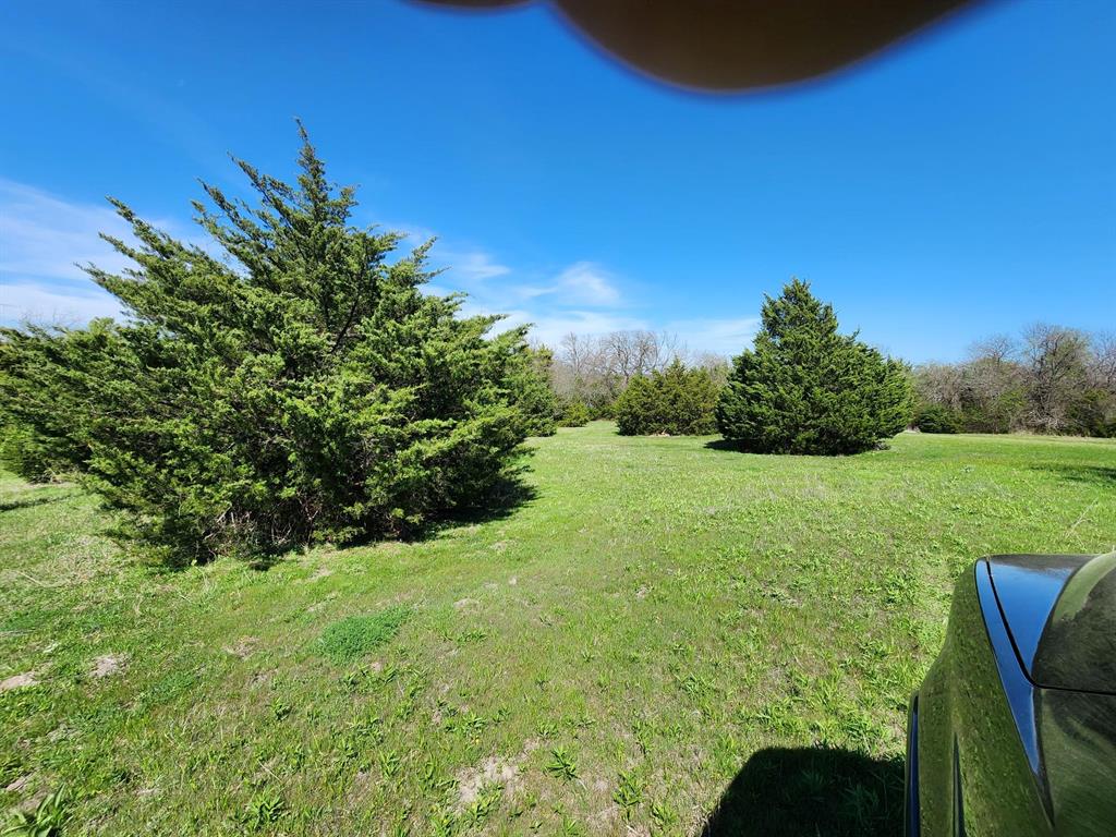 Elija B Reed Surv A-739 - Land