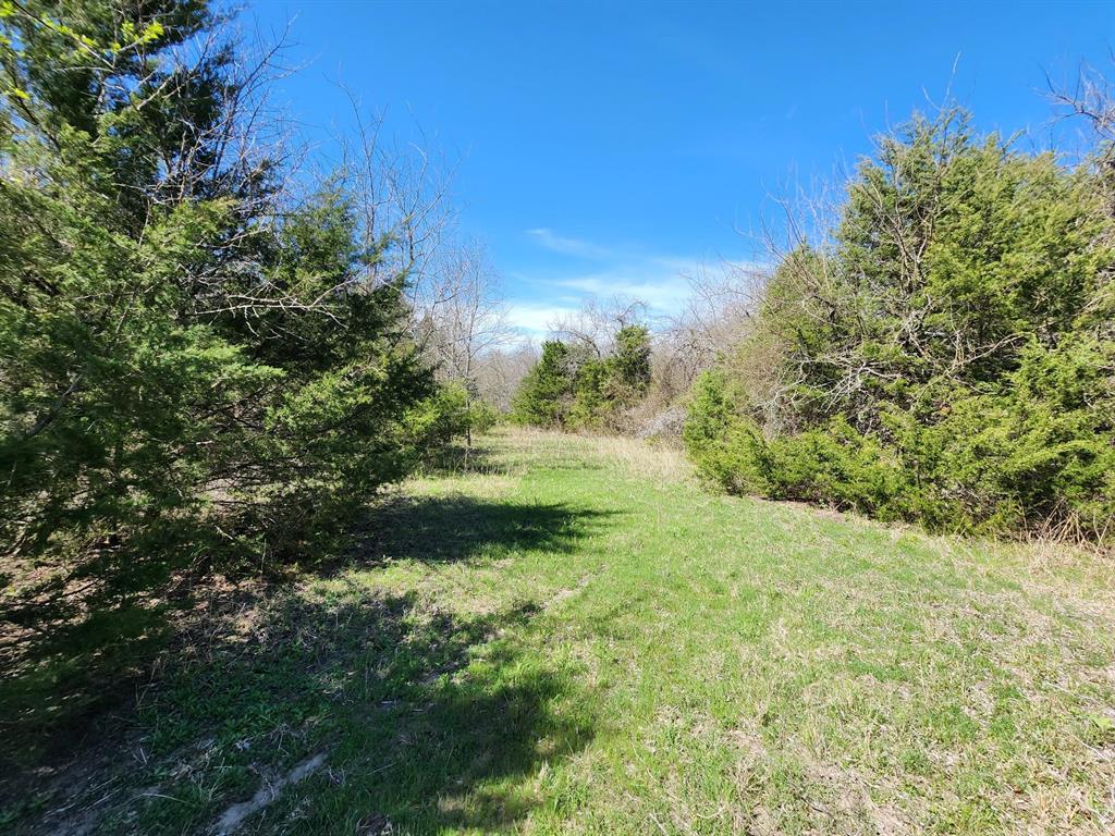 Elija B Reed Surv A-739 - Land