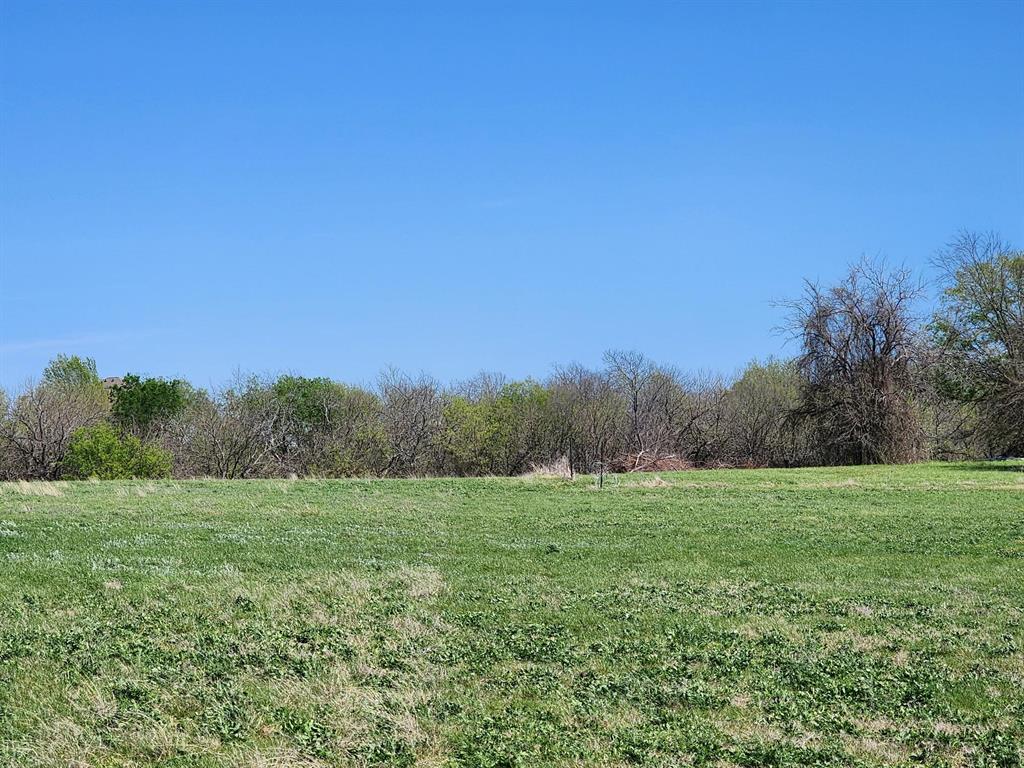 Elija B Reed Surv A-739 - Land