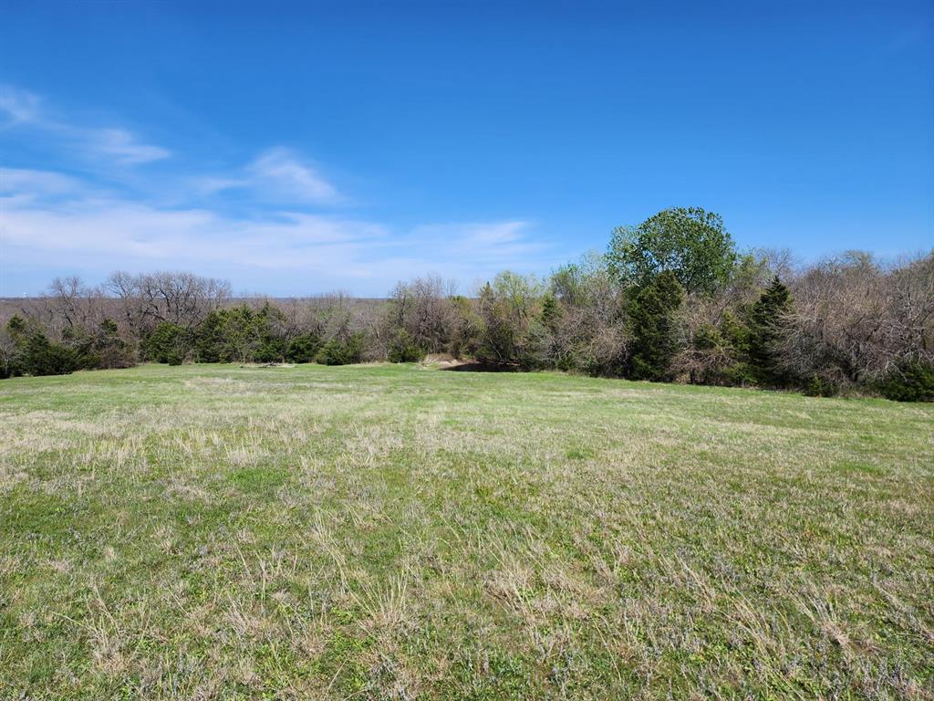 Elija B Reed Surv A-739 - Land