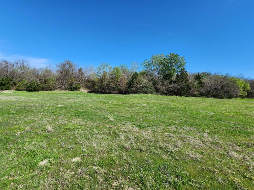 Elija B Reed Surv A-739 - Land