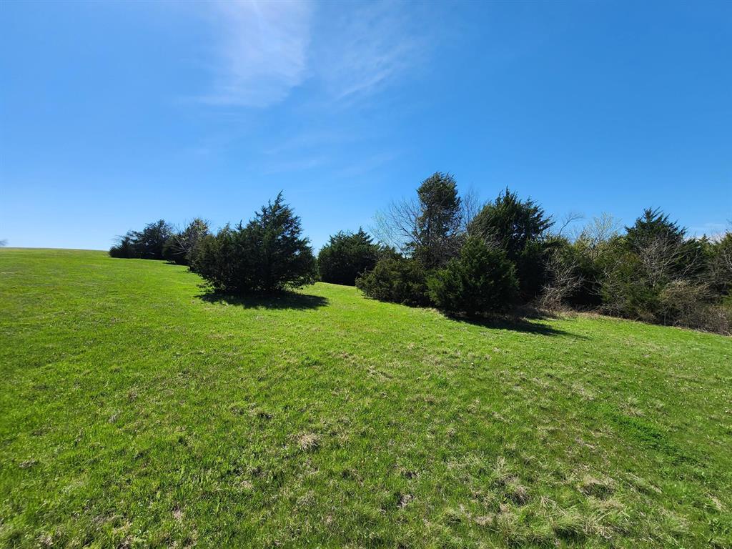 Elija B Reed Surv A-739 - Land