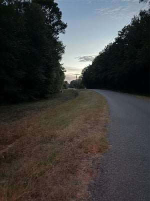 AIRLINE RD, DUBACH, LA 71235 - Image 77fd138038c0d7a75a01ffebf7ba2a92/3720366568