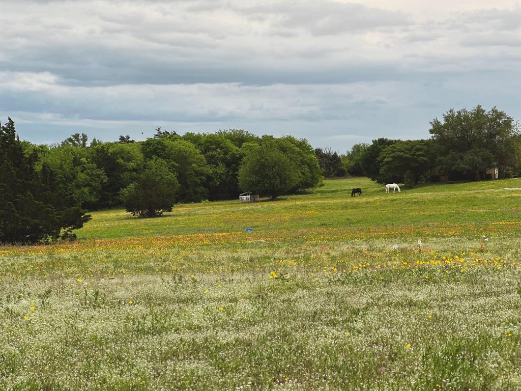 View Grandview, TX 76050 land