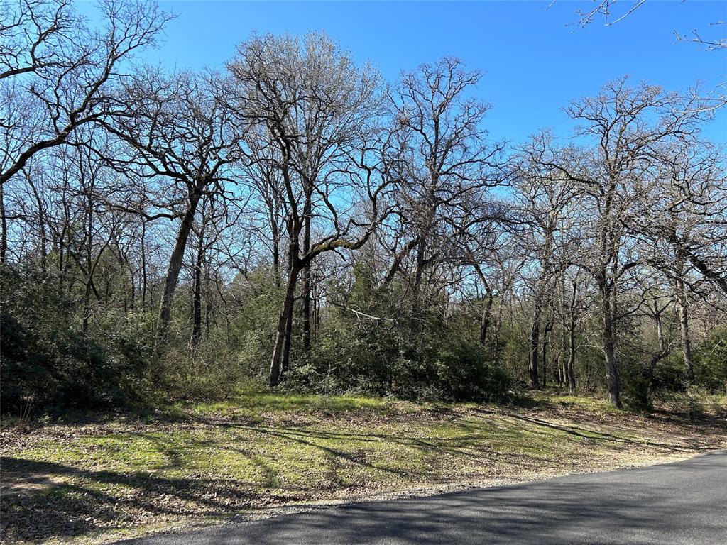 Freestone County - Land