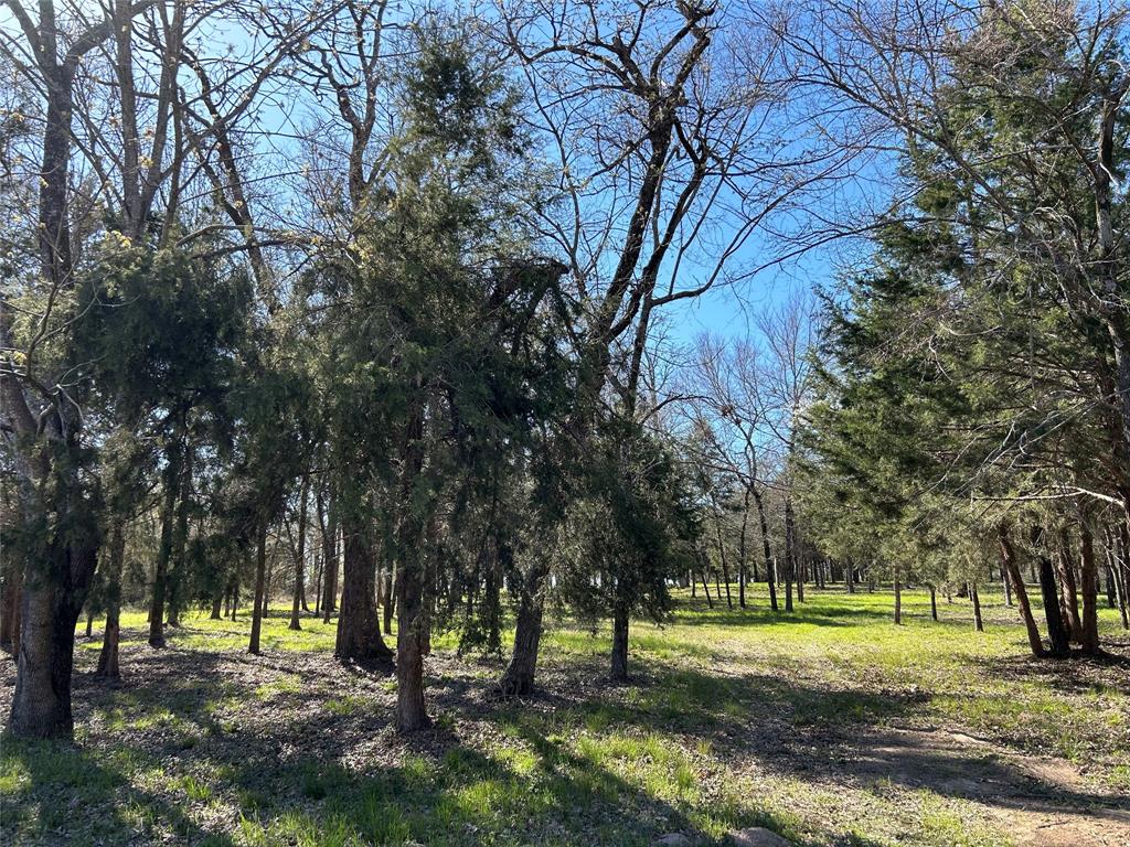 Freestone County - Land