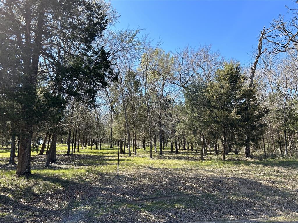 Freestone County - Land