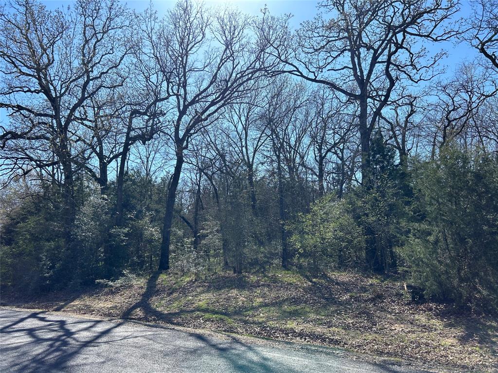 Freestone County - Land