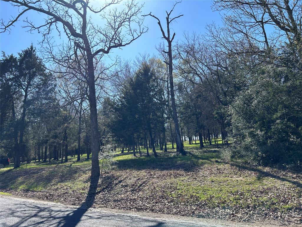 Freestone County - Land