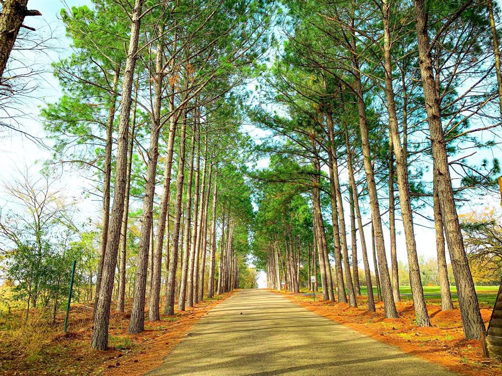 Freestone County - Land