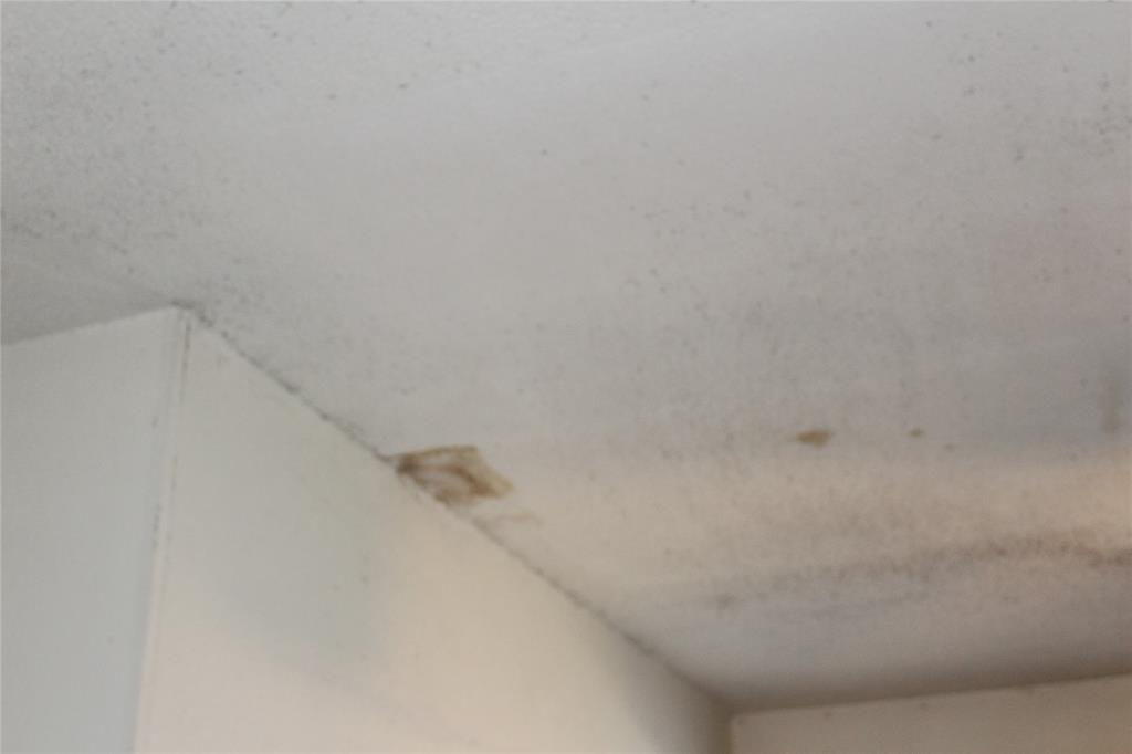 Palos Verdes 11 Ph 02 Rep - Residential