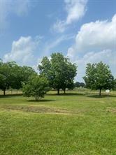 THOS L WILLIAMS - Residential Lease