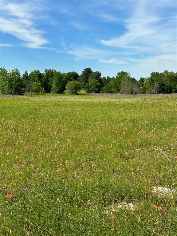 ABST: 623, SUR: N SCHOOL - Land