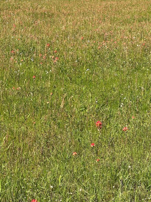 ABST: 623, SUR: N SCHOOL - Land