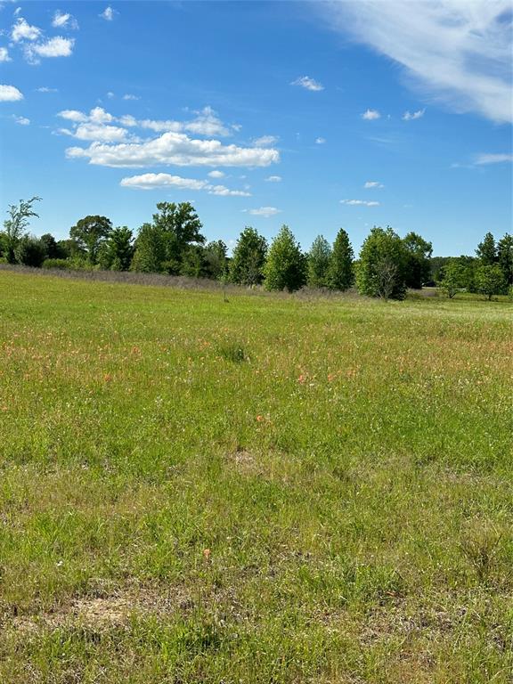 ABST: 623, SUR: N SCHOOL - Land