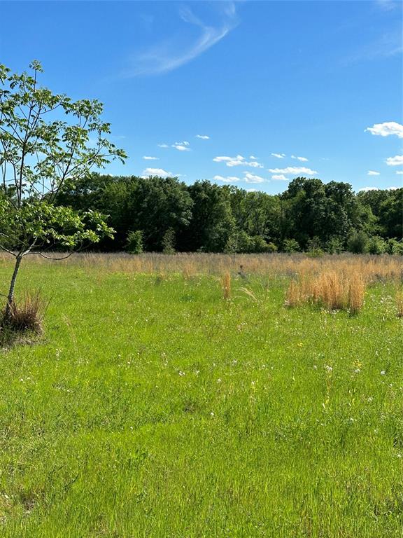 ABST: 623, SUR: N SCHOOL - Land