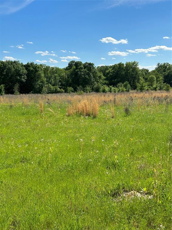 ABST: 623, SUR: N SCHOOL - Land