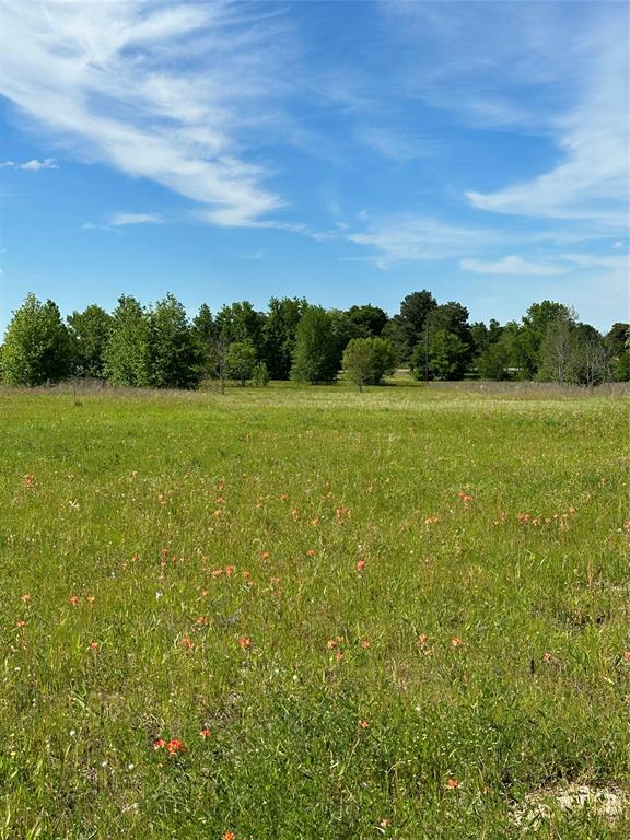 ABST: 623, SUR: N SCHOOL - Land