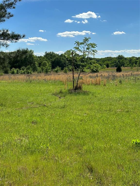 ABST: 623, SUR: N SCHOOL - Land