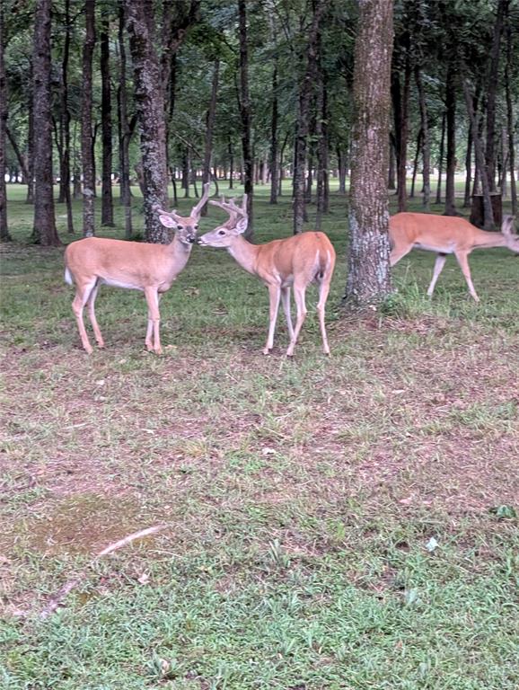 Pinnacle Club - Residential