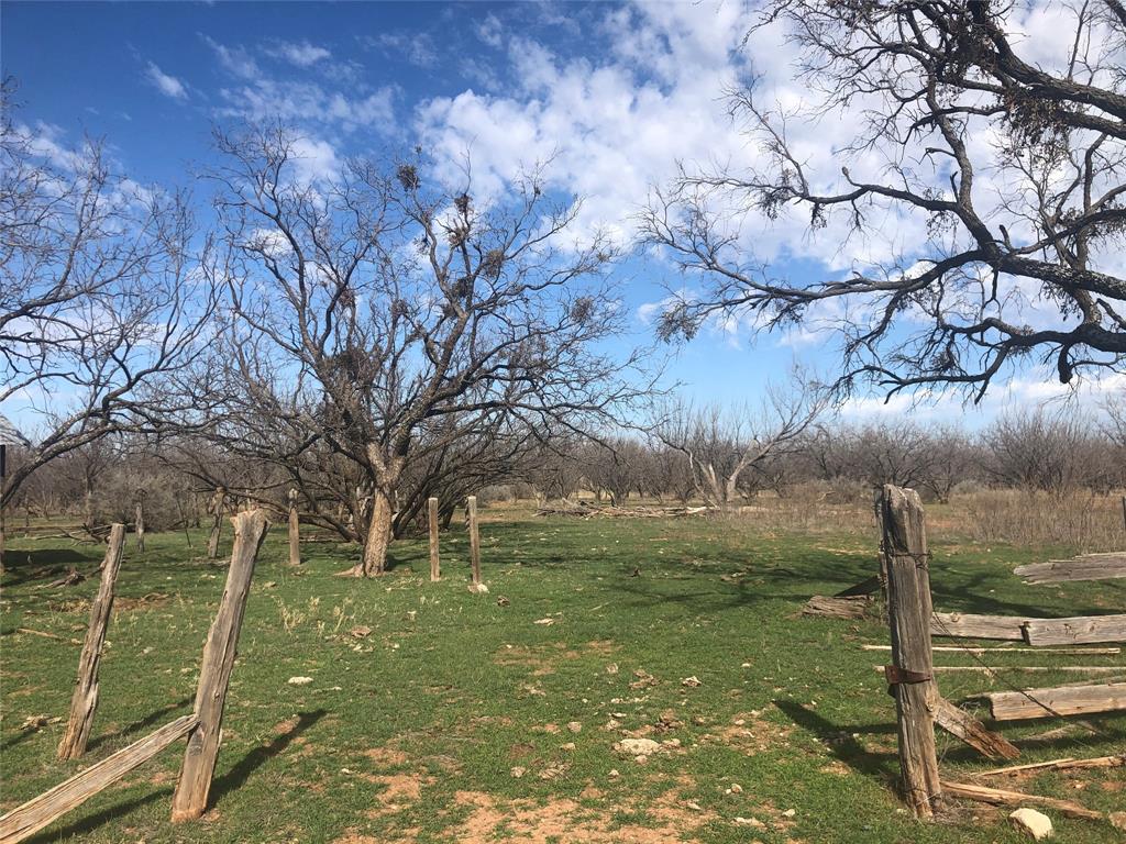 Lunatic Asylum Lands Surv - Farm