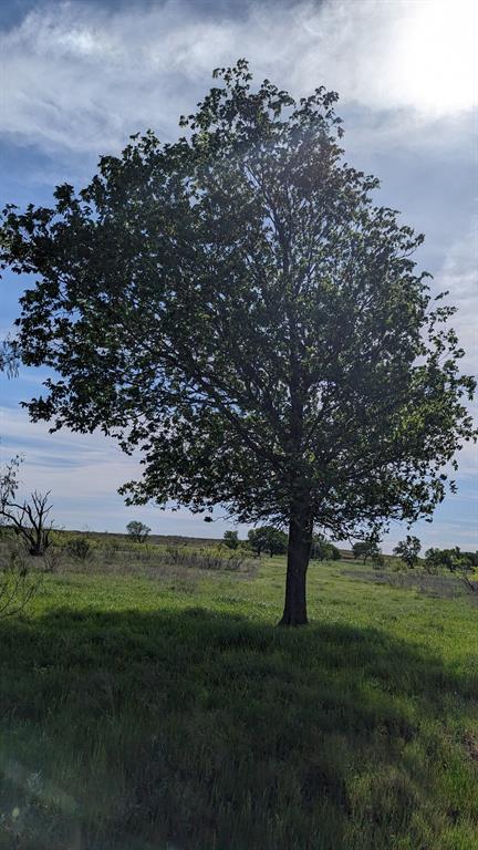 High Plains Ranch - Land