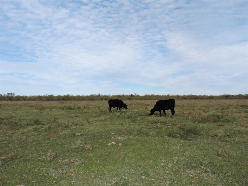 J Baker Abstract - Land