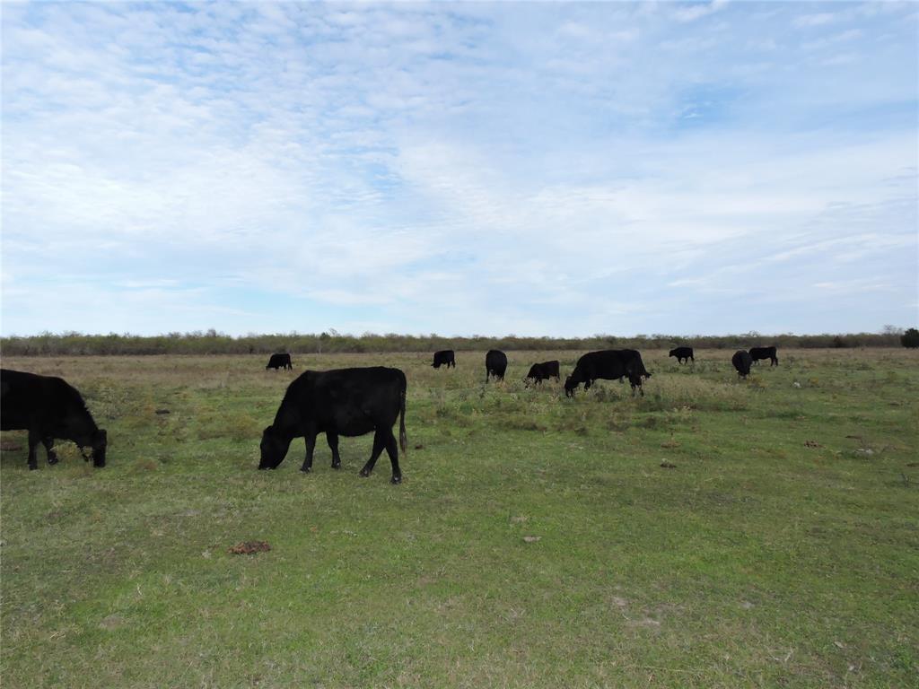 J Baker Abstract - Land