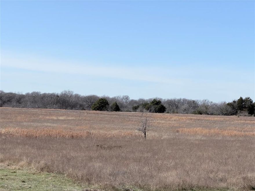 What an awesome opportunity for someone with a vision.  This is a great location to build your dream home or start a business venture!!!  This is a beautiful 40.13-acre property in Kerens, Tx just east of Corsicana, Tx, right off of State Hwy 31.  This property offers space to build your dream home, pasture for livestock, trees for shade, room for recreation and creativity.  This is also peaceful place to escape from the pressers of the city life.  This property can be used in multiple ways.