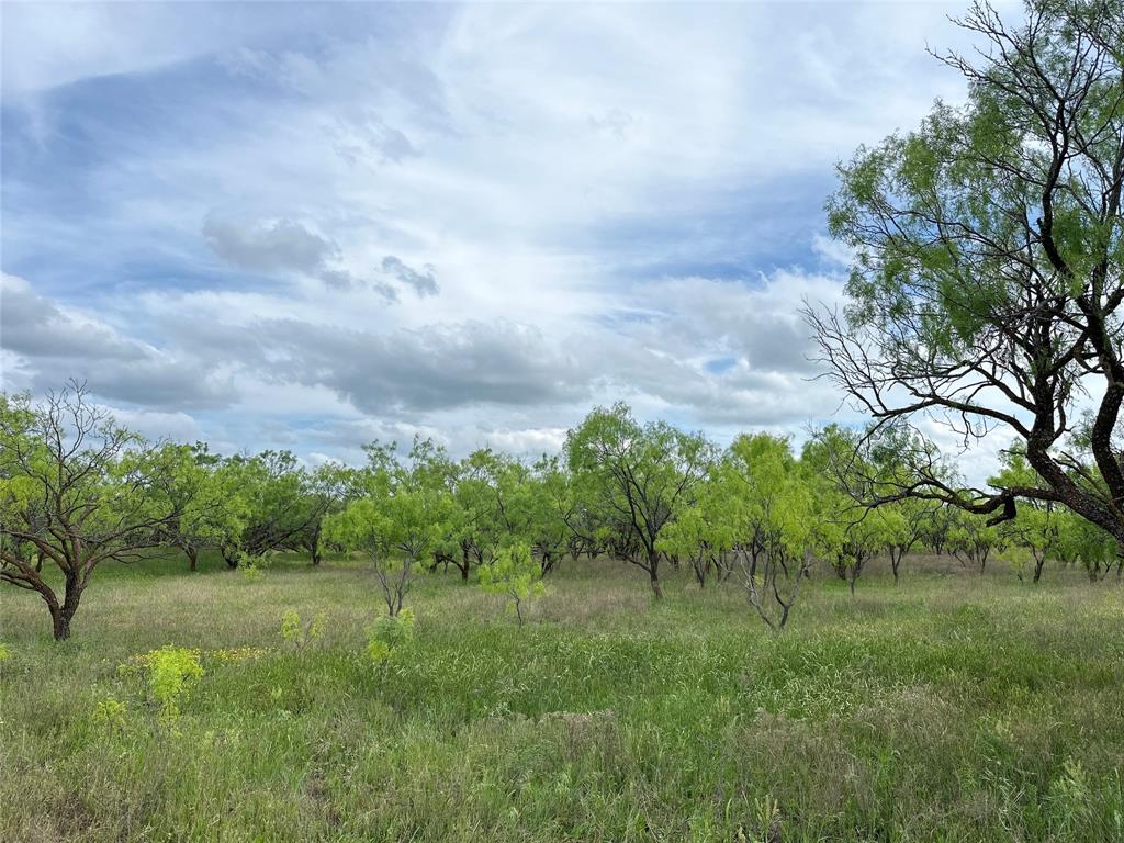 TBD County Road 100