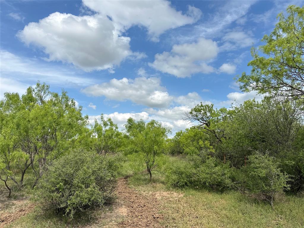 TBD County Road 100