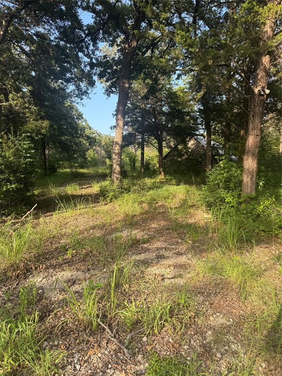 SW LAMAR - Residential