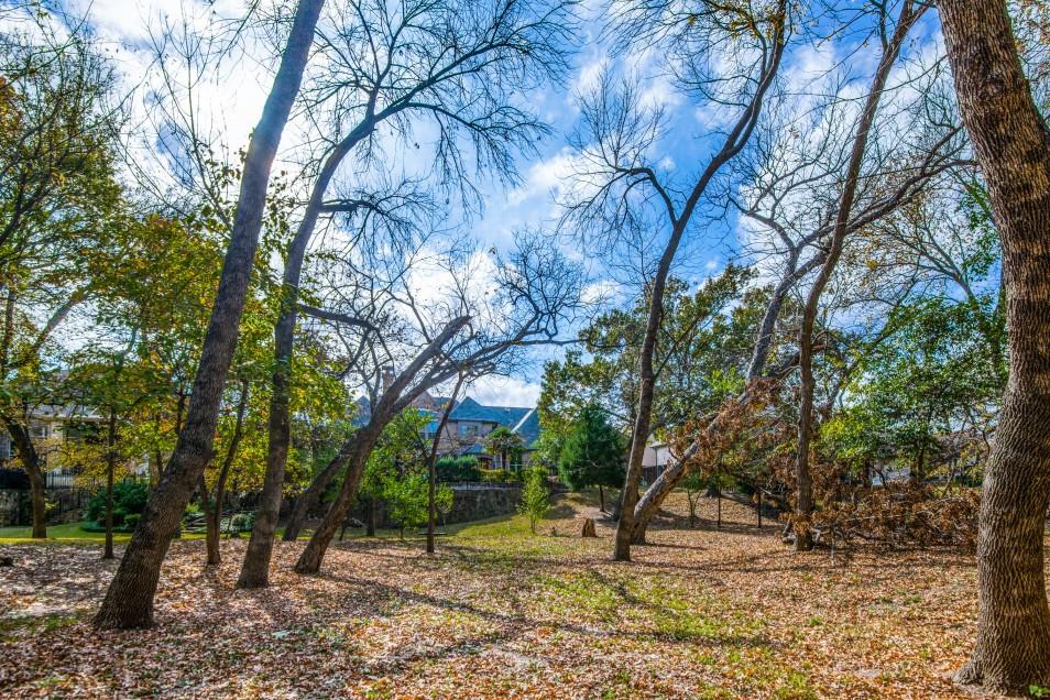 Alexander Court - Residential