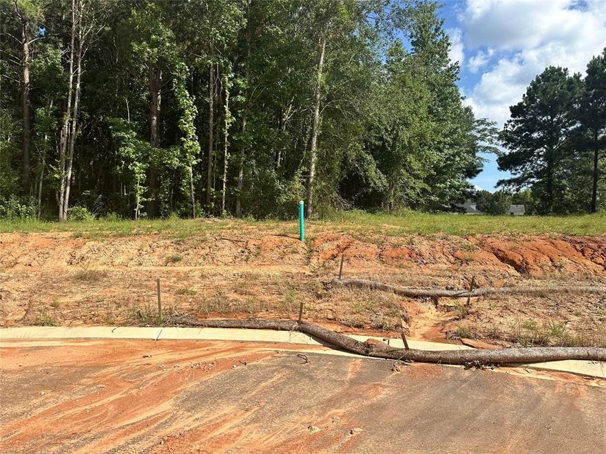 Build your dream home in the peaceful and sought-after neighborhood of Cherry Hill in Greenwood, Louisiana. This spacious lot offers ample room for your vision of a beautiful home. Remember Life is good in Greenwood. Contact us today to schedule your appointment and explore the several lots in person.