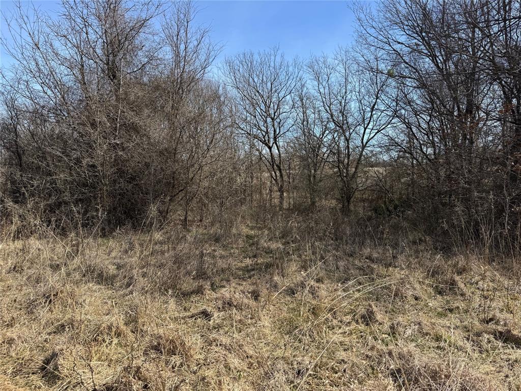 Hawkins Oak Estates - Land